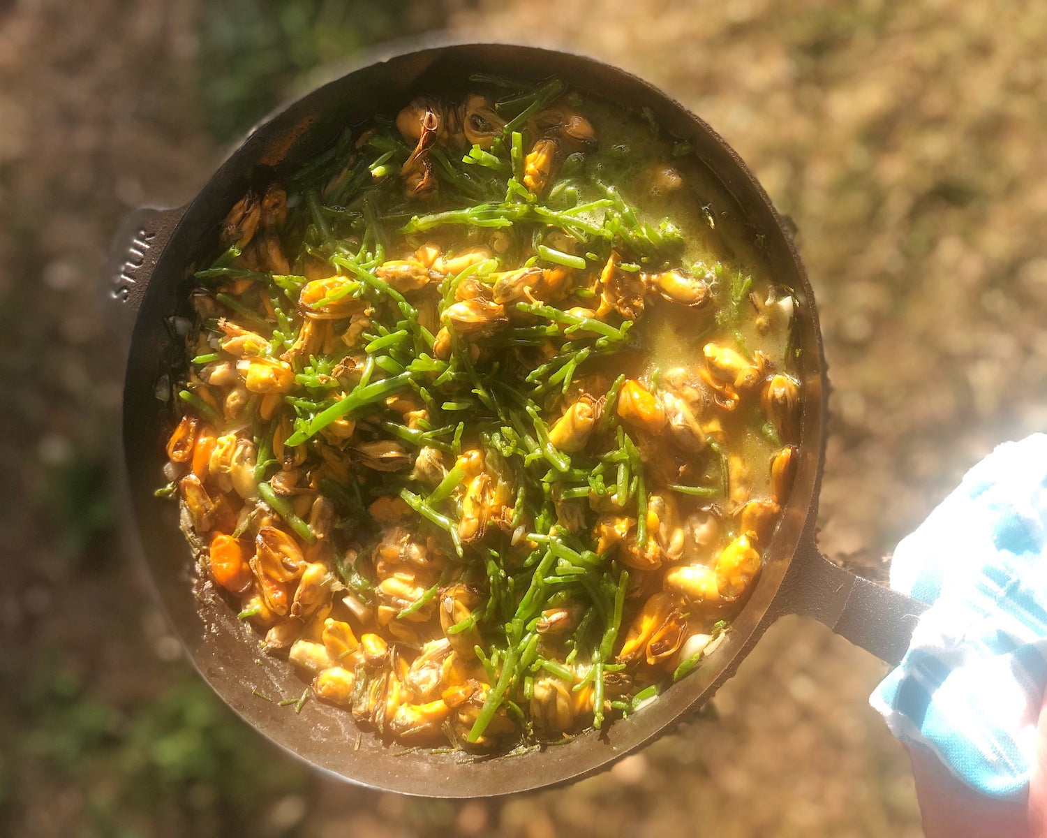 Pasta mit Moules - Miesmuschel-Pasta Strandküche